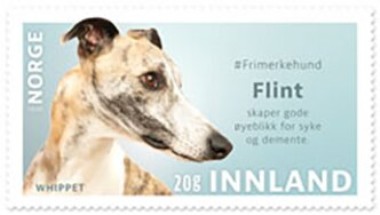 Flint